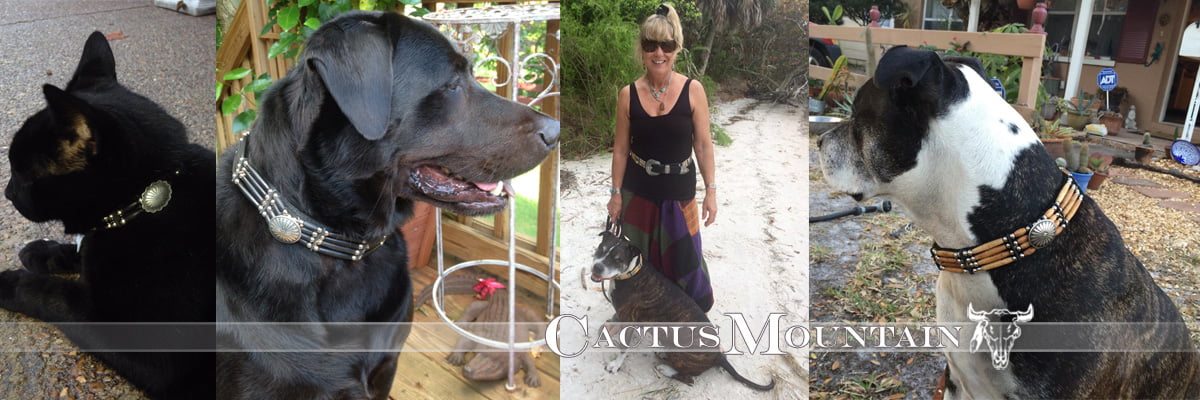 2, 3, 4 and 6 Strand Pipe Beaded Concho Cat and Dog Collars