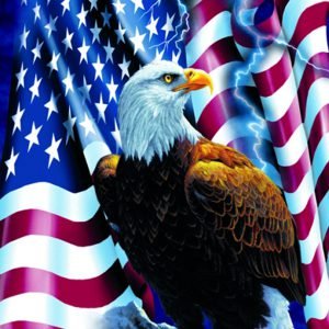 American Flag Eagle greeting card that is environmentally friendly