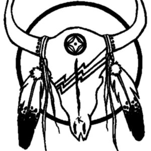 Skull with Feather sticker waterproof will adhere to just about anything.